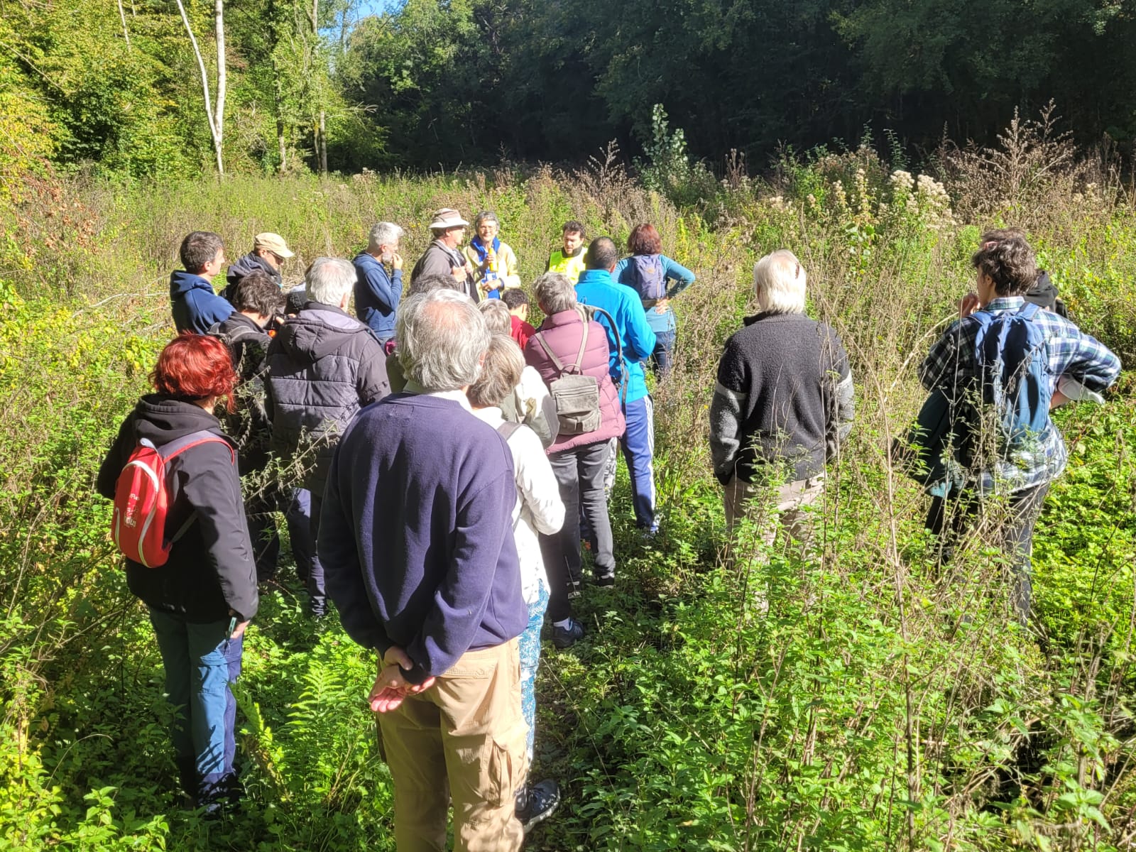 Balades commentées en forêt de Béruges : un succès ! Balades commentées en forêt de Béruges : un succès !