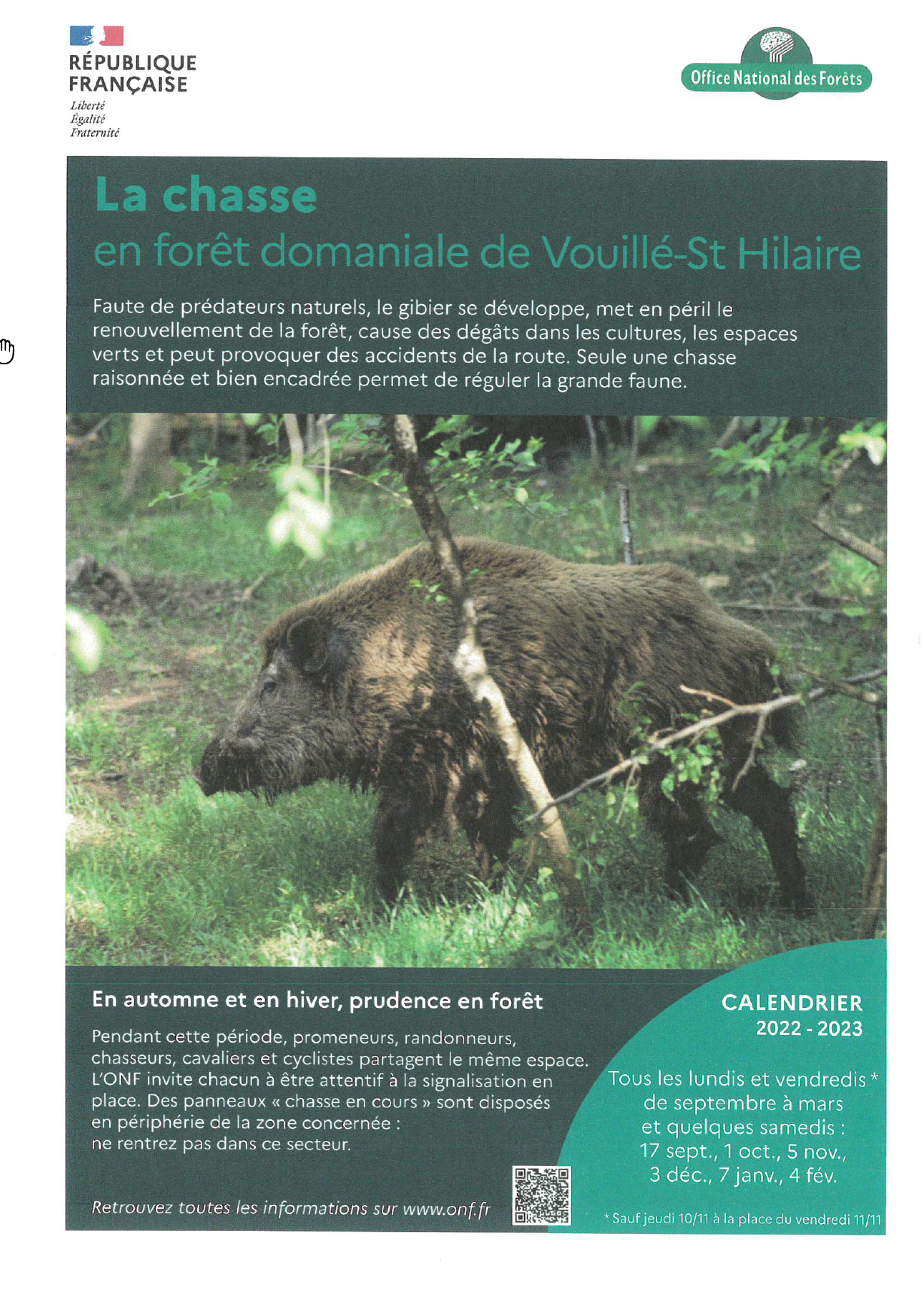 Forêt domaniale de Vouillé : planning des chasses