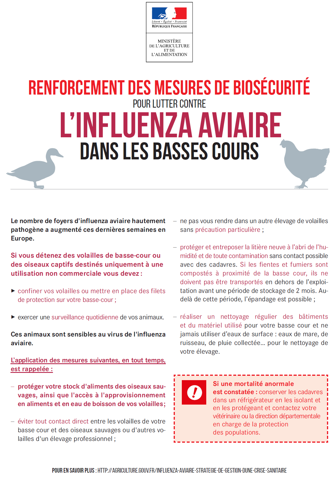 Élévation du niveau de risque en matière d’influenza aviaire hautement pathogène
